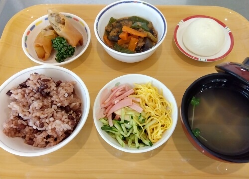 普段のお食事例01