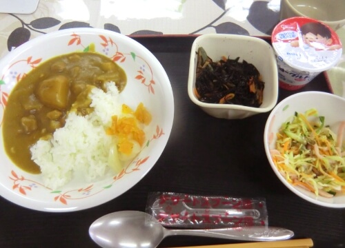 普段のお食事例04